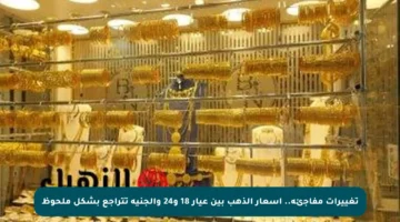 تغييرات مفاجئة.. أسعار الذهب بين عيار 18 و24 والجنيه تتراجع بشكل ملحوظ